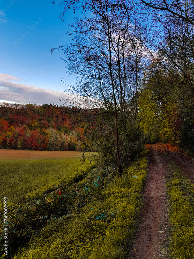 Naklejka premium sentiero magico