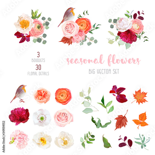 Mix of seasonal plants anf flowers big vector collection