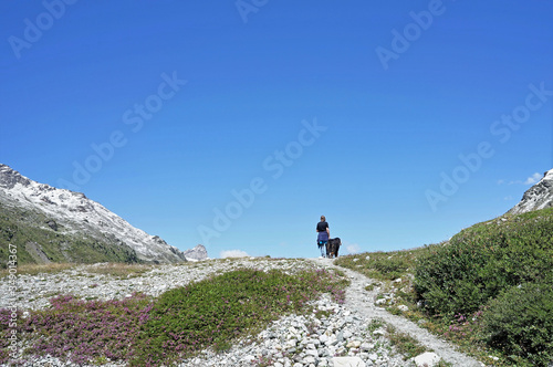 Man and dog walking on the path in the mountains, seen from behind, Switzerland 