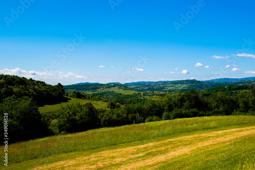 green meadows and blue skies