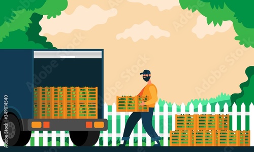 Farmer loads plant boxes in a truck. Color illustration.