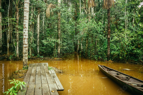 Puerto Maldonado Peru Rainforest Jungle photo