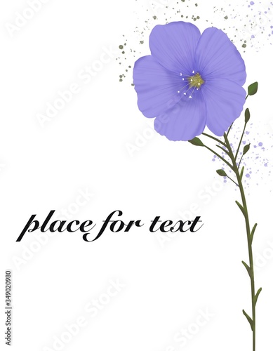 illustration with violet flower on a white background. place for your text