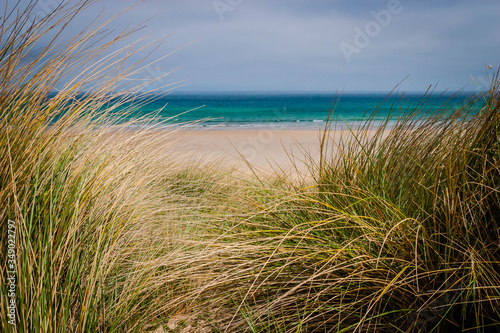 Fotomurale Grass and sand at the beach of Carbis Bay near St