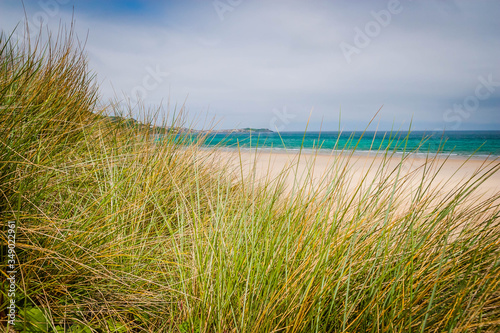 Grass and sand at the beach of Carbis Bay near St. Ives in Cornwall, UK