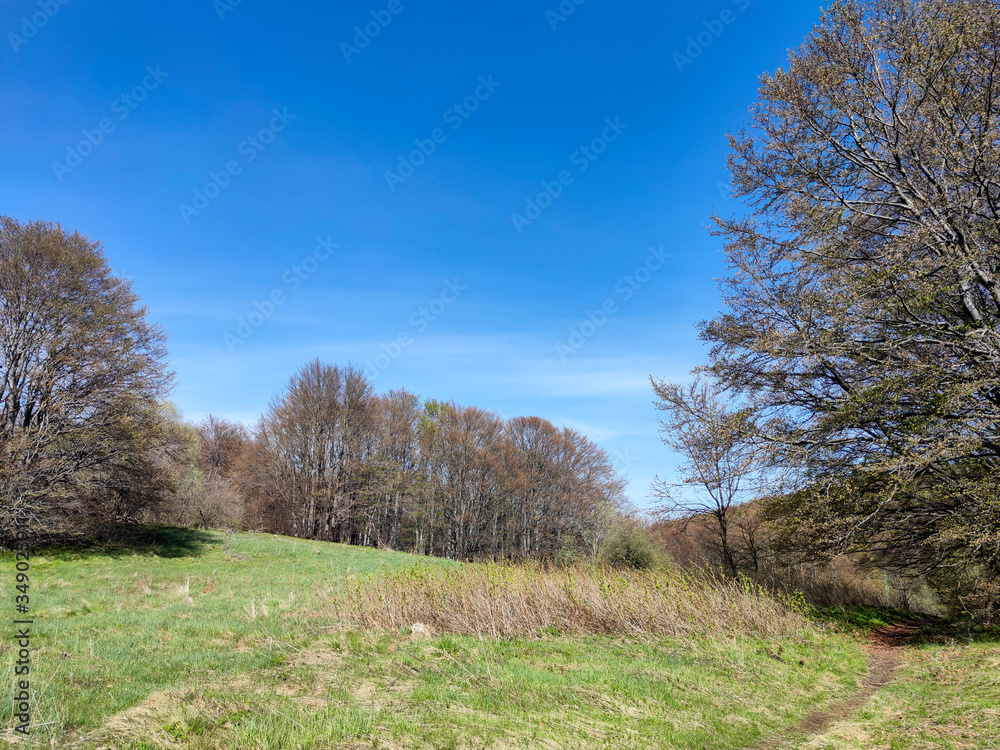 Spring view of Vitosha Mountain, Bulgaria Spring view of Vitosha Mountain, Bulgaria