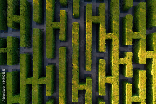 Green labyrinth in garden geometrical symmetry maze Aerial drone view photo