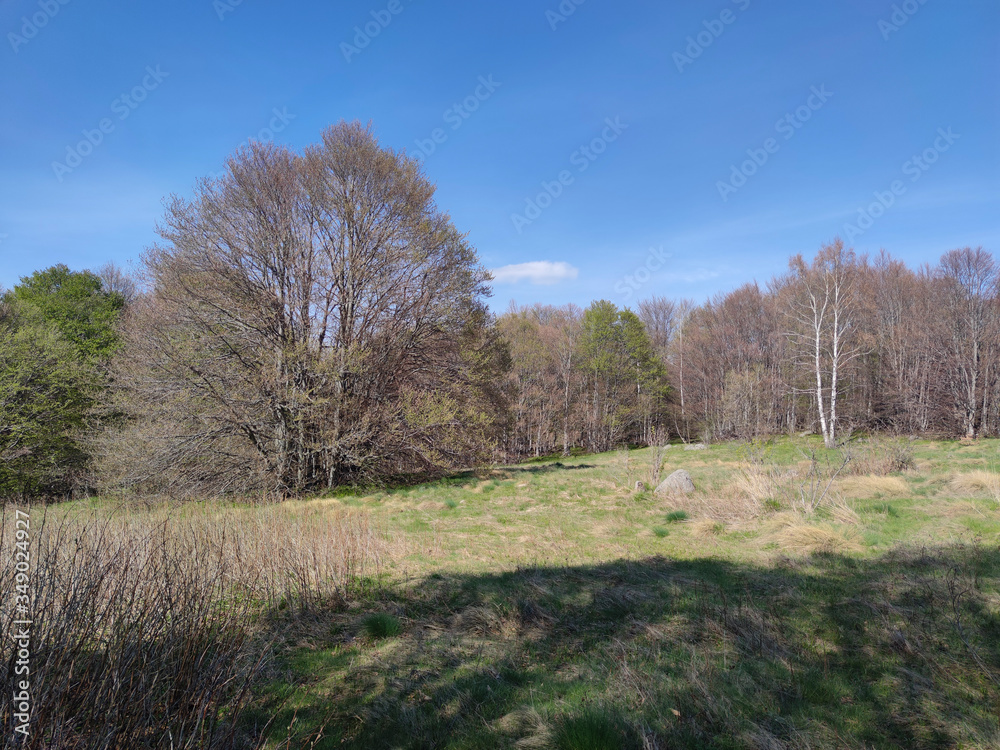 Spring view of Vitosha Mountain, Bulgaria Spring view of Vitosha Mountain, Bulgaria