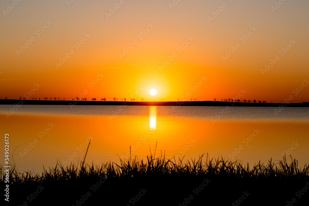 Obraz premium Orange sunset on the lake. The sun sets on the horizon. Grass silhouette