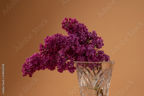 Still life with blooming branches of purple lilac in vase