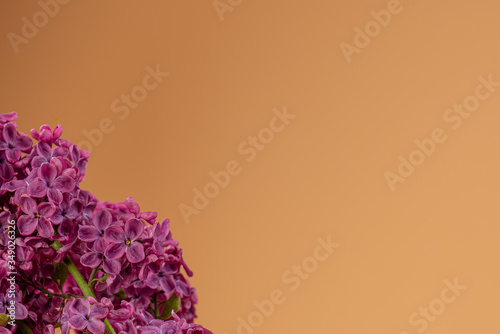 lilac purple, violet flowers on the left down corner and beige background