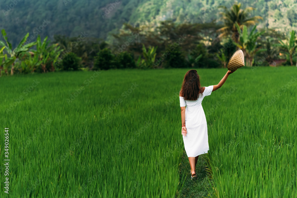 A beautiful girl walks on rice terraces on the island of Bali, rear view. A beautiful girl in a white dress and a conical hat walks through green rice fields. Girl in a white dress in Bali A beautiful girl walks on rice terraces on the island of Bali, rear view. A beautiful girl in a white dress and a conical hat walks through green rice fields. Girl in a white dress in Bali