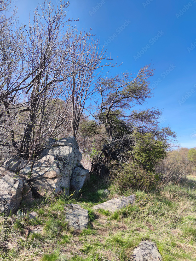 Spring view of Vitosha Mountain, Bulgaria Spring view of Vitosha Mountain, Bulgaria