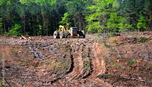 Clearing Land for Development