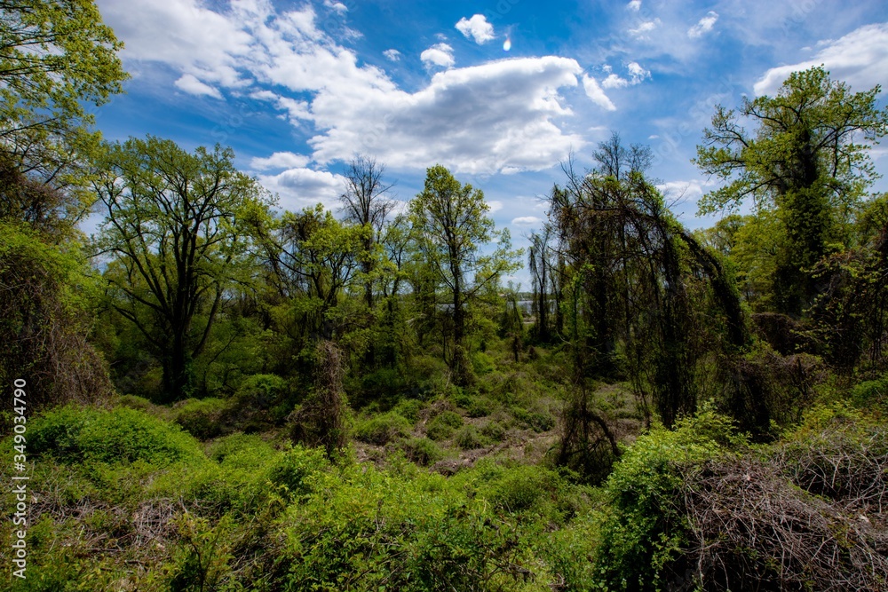 Bear Mountain State Park