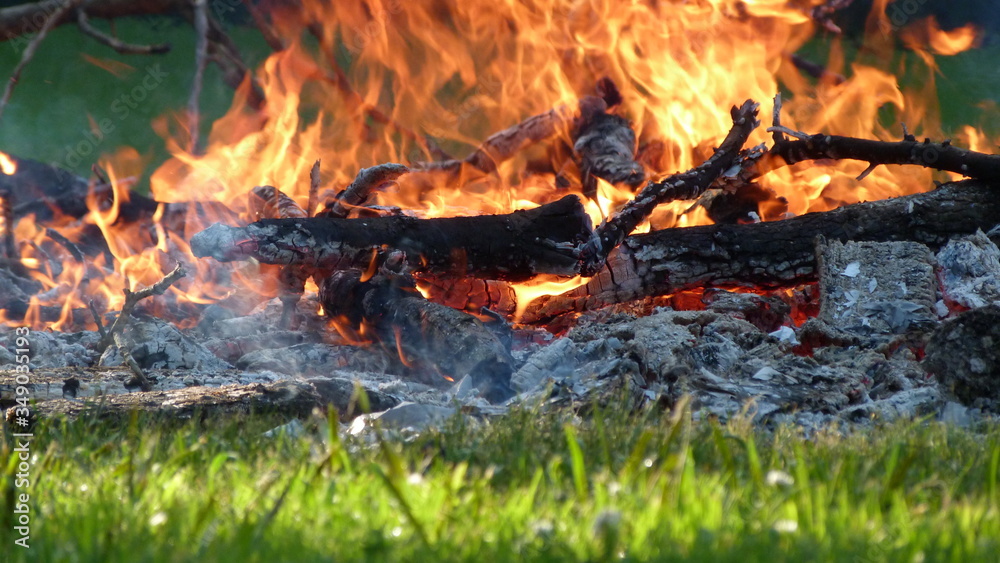 Flaming Bonfire, Burning Wood, Smoking Fire, Summer Fire Flaming Bonfire, Burning Wood, Smoking Fire, Summer Fire