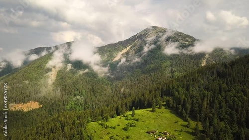 Aerial view of green Carpathian mountains covered with evergreen spruce pine foreston summer sunny day. photo