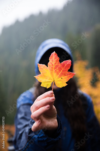 autumn leaves in hand