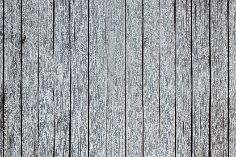 Fototapeta premium Texture