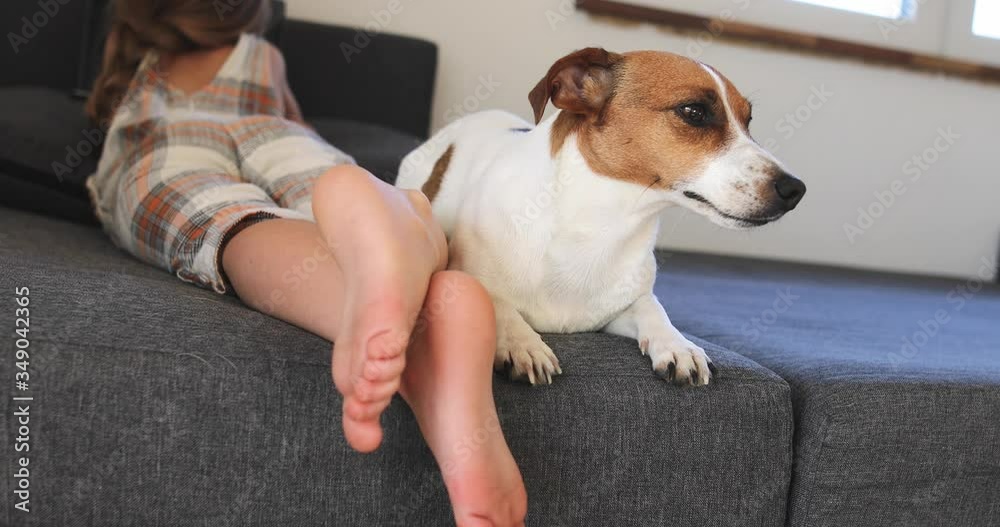 Girl's feet and her dog on sofa at home