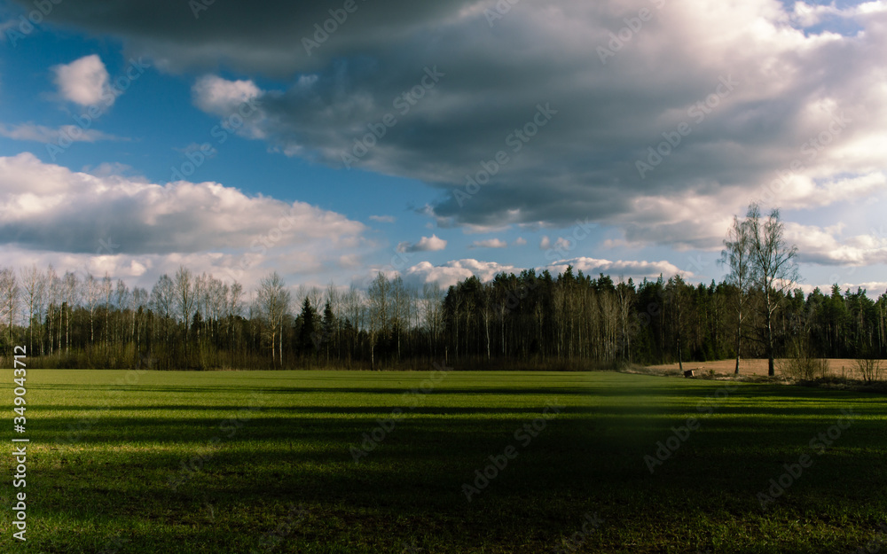 Green grass meadof field at sunset time, forest background Green grass meadof field at sunset time, forest background