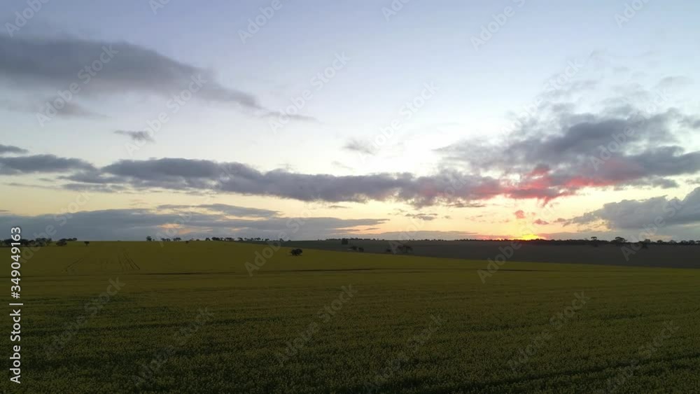 Quairading Canola Fields Western Australia Quairading Canola Fields Western Australia