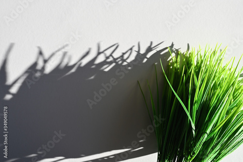 The shadow of green grass. Top view of a long shadow falling from grass