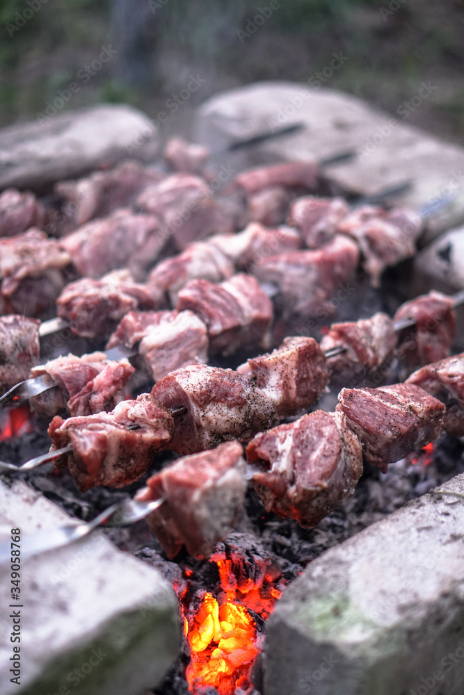 Roasted meat on the fire. Camping cooking kebab. Barbecue Roasted meat on the fire. Camping cooking kebab. Barbecue