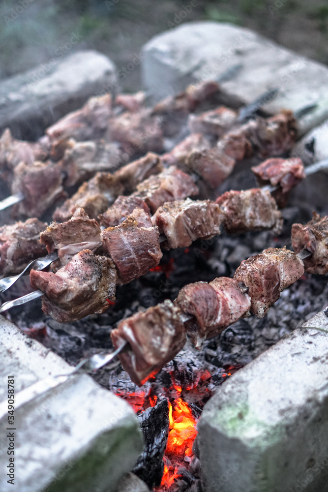 Roasted meat on the fire. Camping cooking kebab. Barbecue Roasted meat on the fire. Camping cooking kebab. Barbecue
