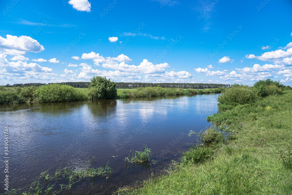 Fototapeta premium Beautiful spring river in the flowing nature. Colorful landscape in the morning and evening. Travel to deserted places of the world. Stock photo for design