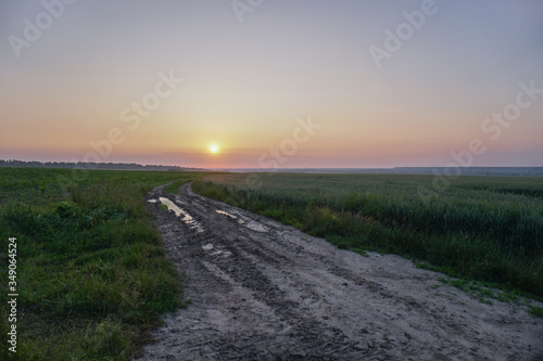 Magnificent dirt road outside the city in a field. Untidy groomed footpath in a meadow in spring. Stock background for design