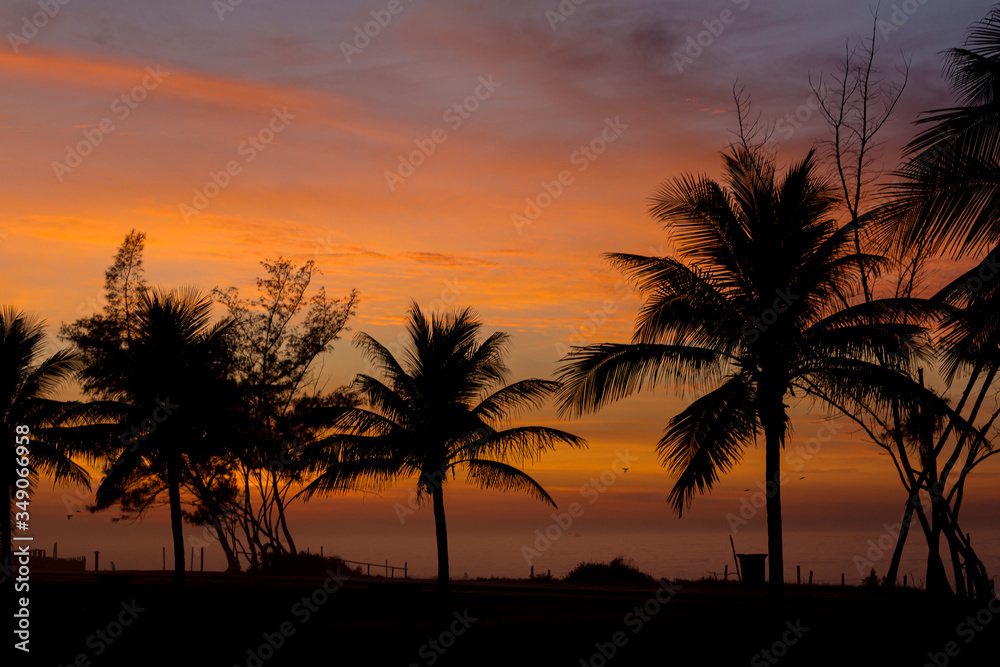 Coqueiros na beira da praia com céu vermelho ao amanhecer