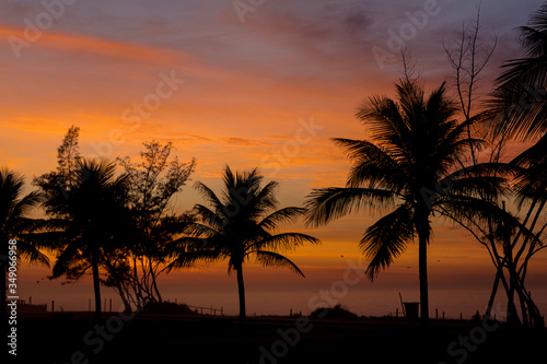 Coqueiros na beira da praia com c  u vermelho ao amanhecer