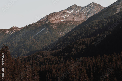 mountain range in the morning landscape full of trees few snow