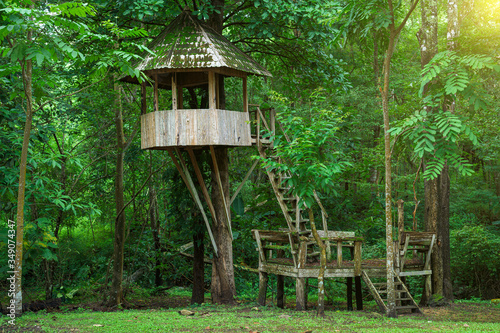 Tree house in deep forest.