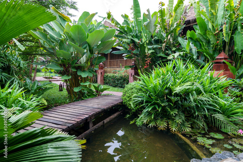 Beautiful green garden with a small wooden bridge for crossing the stream in the resort on background
