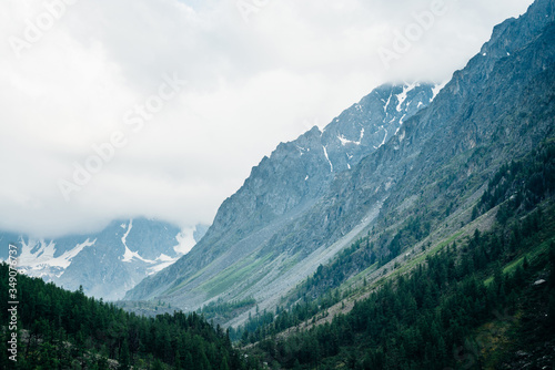 Beautiful big glacier behind coniferous forest on hill side under cloudy sky. Low clouds on giant snowy rocks in overcast weather. Atmospheric alpine scenery with forest hills and rocky mountains.