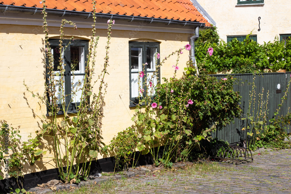 old yellow houses of old fisherman town Dragor, Denmark