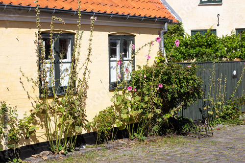 Obraz na płótnie old yellow houses of old fisherman town Dragor, Denmark w salonie