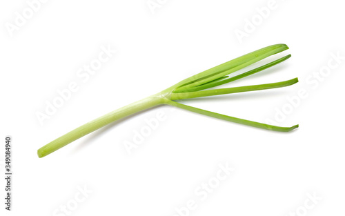 Green Onion herb isolated on white background, clipping path