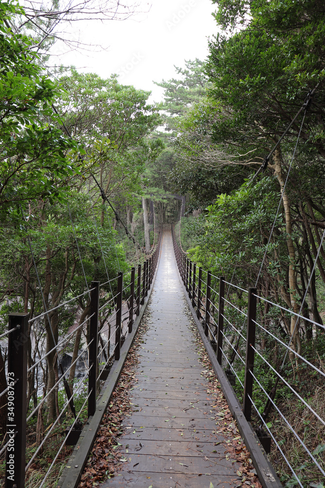 橋立吊橋（静岡県伊東市）