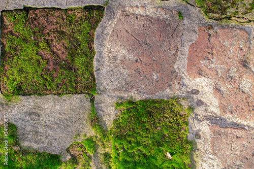 Textura de musgo verde sobre ladrillos rojos desgastados.
