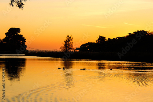 sunset over the river © Olivia