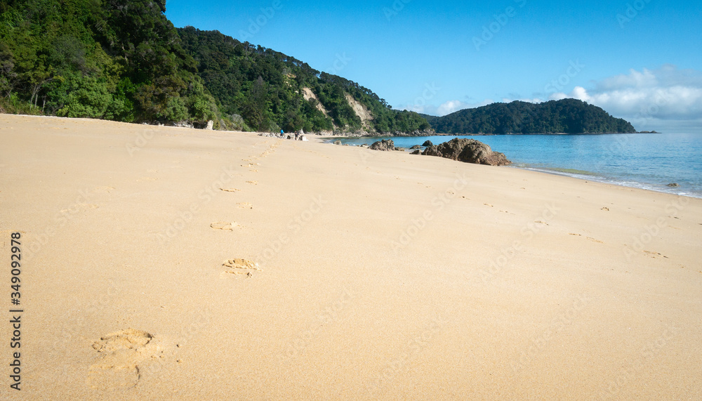 Remote tropical beach with golden sands and footprints leading to horizon, shot in Abel Tasman National Park, New Zealand