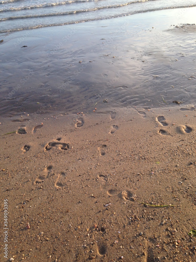 footprints on the beach