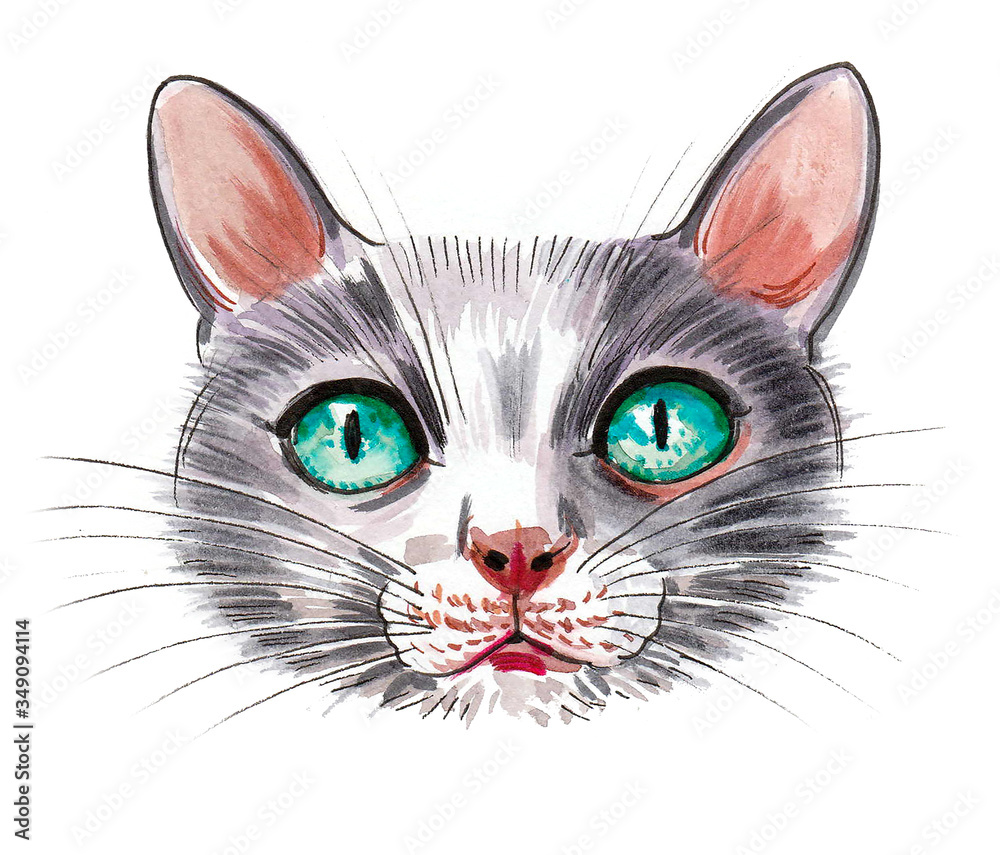 Fototapeta premium Cute cat with green eys. Ink and watercolor drawing