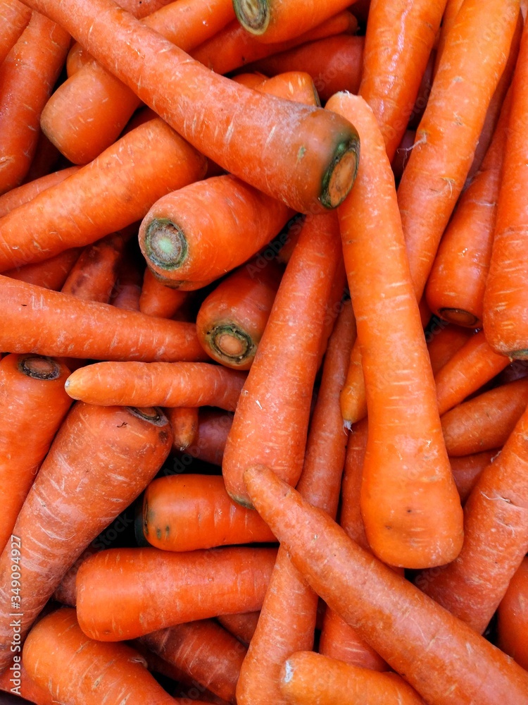 bunch of carrots bunch of carrots
