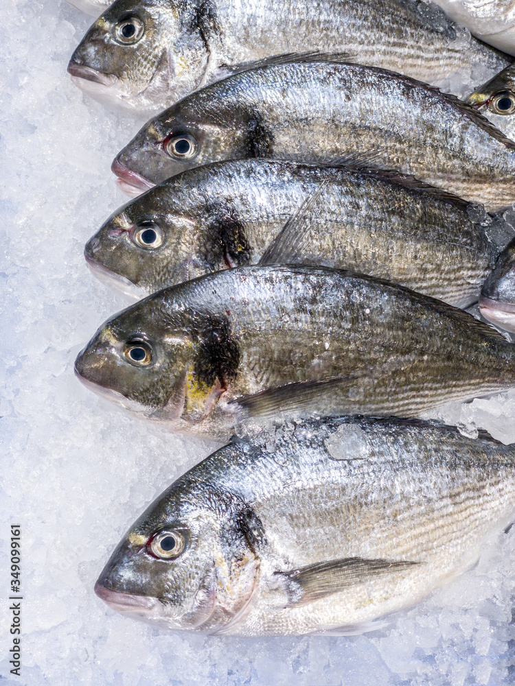 Close Up of fresh sea bream in a supermarket refrigerated display case. Seafood Close Up of fresh sea bream in a supermarket refrigerated display case. Seafood