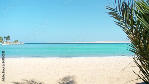 Red Sea waves running on sandy beach, extreme wide shot. Green palm tree branch swinging in the wind. Photographed in Hurghada in february. Selective soft focus. Blurred background