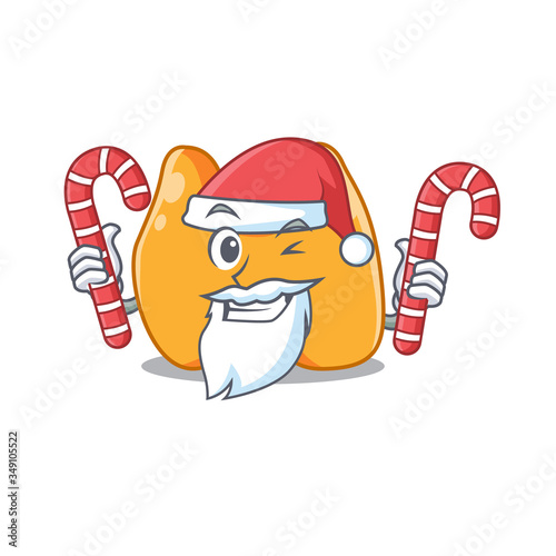 Friendly thyroid dressed in Santa Cartoon character with Christmas candies